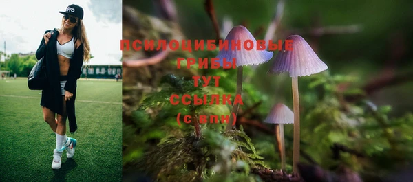 ALPHA PVP Зеленокумск