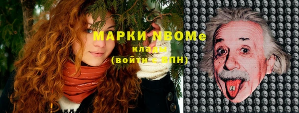 шишки Зеленодольск