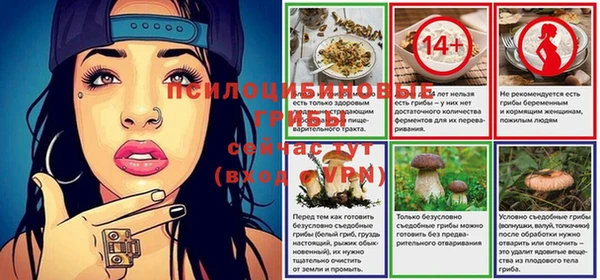 ALPHA PVP Зеленокумск