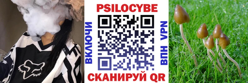 закладка  Дмитровск  ОМГ ОМГ ТОР  Псилоцибиновые грибы мухоморы 